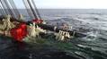 Allseas-Boskalis Consortium Bags $1.4B Offshore Gas Pipeline Job in Taiwan