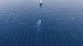 TGS Gets Exclusive Rights for Seismic Survey Offshore Brunei