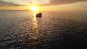 (Credit: Shearwater Geoservices)