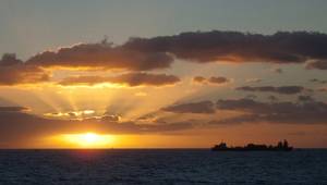 © SimonPeter / Adobe Stock