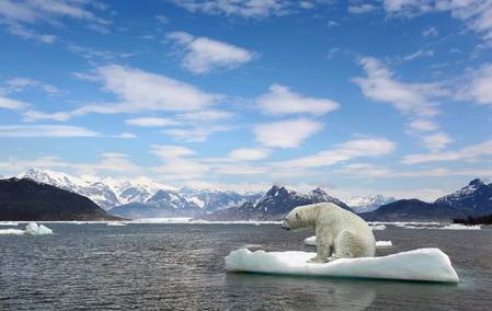 July: Earth's Hottest Month Ever Recorded