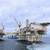 BP Expands Oil and Gas Scope in Azerbaijan with New Projects and Exploration Rights