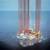 One Shelf Drilling Rig Up for New Job in India, Other for Disposal