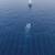 TGS Gets Exclusive Rights for Seismic Survey Offshore Brunei