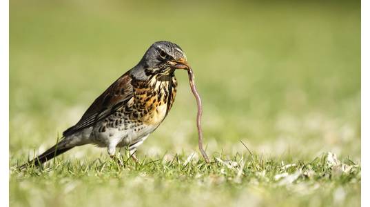 © juerpa68 / Adobe Stock