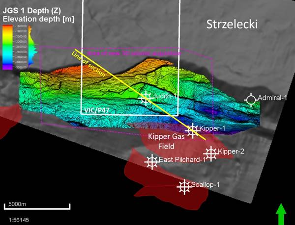 Figure 1: Map showing Vic/P47 Exploration Permit boundary (White line), EMP licensed area of
new seismic acquisition (Purple line) and Line of Seismic Section (Yellow line) shown in Figure 2