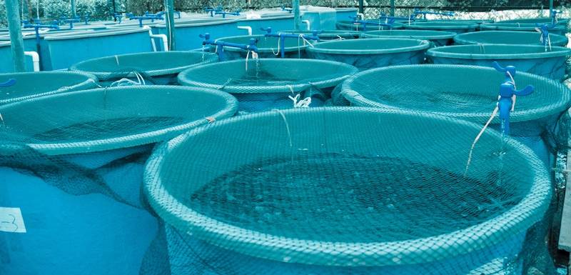 Malaysia Urges Development of Aquaculture